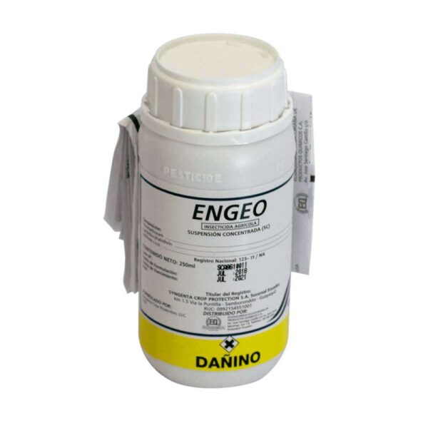 ENGEO - Imagen 2