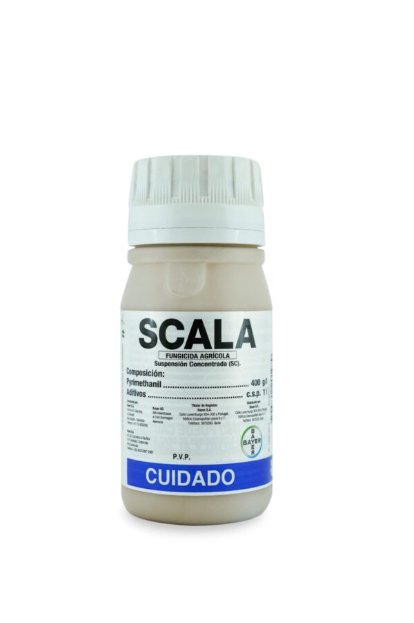 SCALA LT