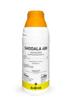 SHODALA